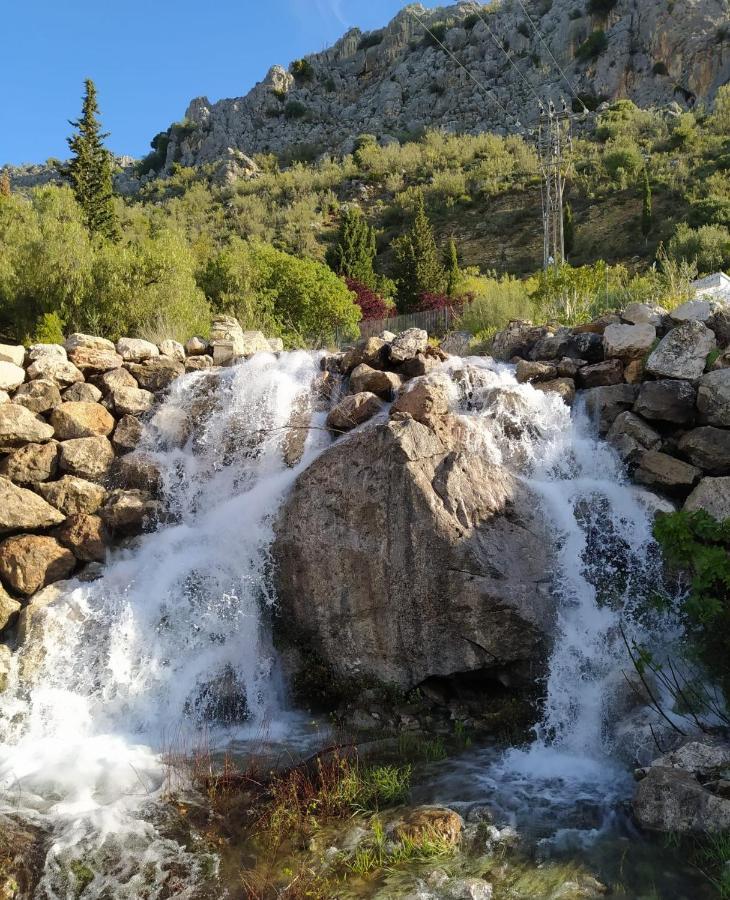 Casa De Los Alamos Periana ภายนอก รูปภาพ