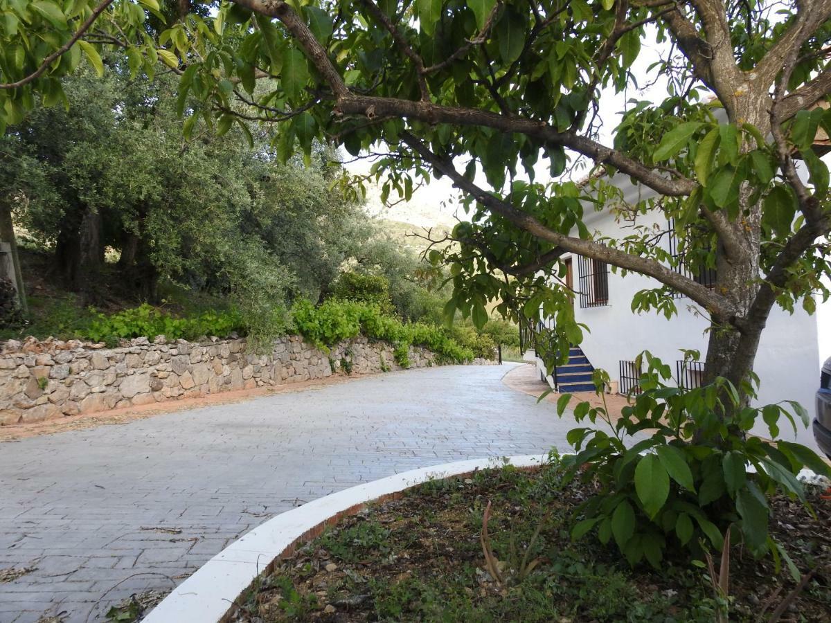 Casa De Los Alamos Periana ภายนอก รูปภาพ