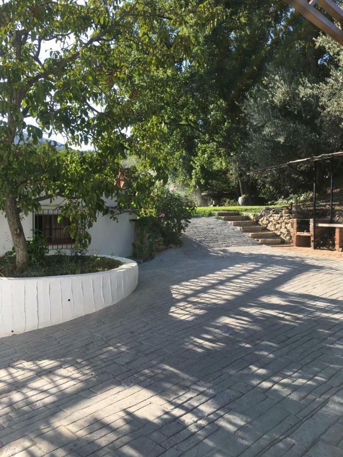 Casa De Los Alamos Periana ภายนอก รูปภาพ